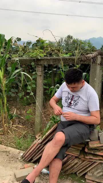 吃瓜保安大结局,揭秘大结局背后的惊人真相